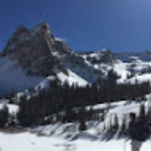 Meet your Posher, Benjamin